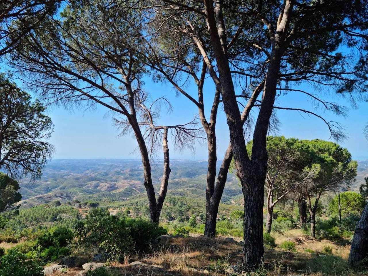 Quinta Da Idalina Villa Мончик Екстериор снимка