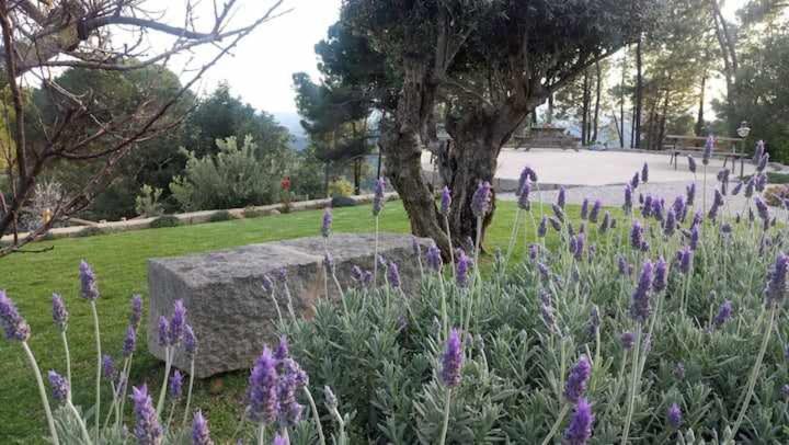 Quinta Da Idalina Villa Мончик Екстериор снимка