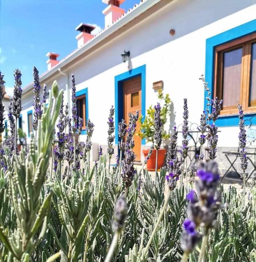 Quinta Da Idalina Villa Мончик Екстериор снимка