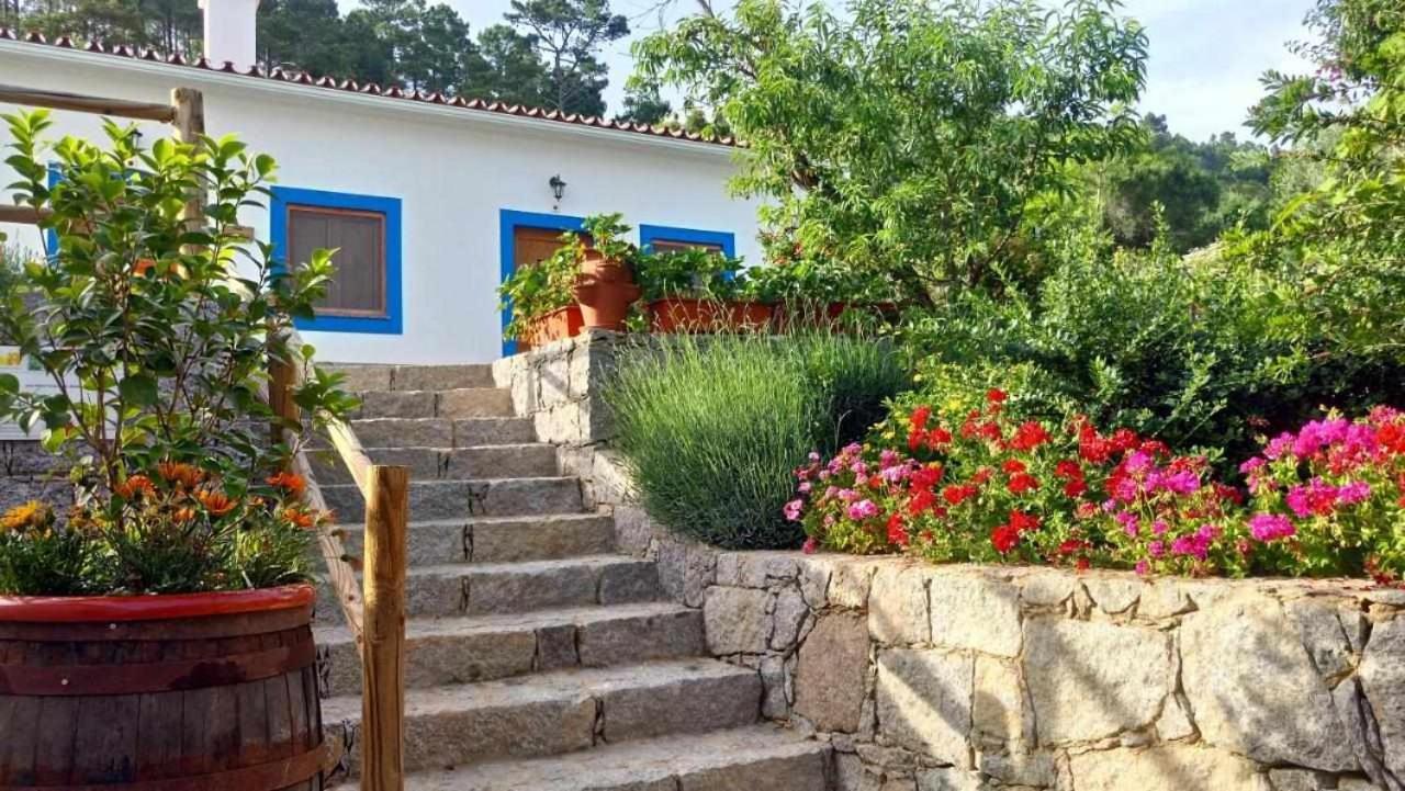 Quinta Da Idalina Villa Мончик Екстериор снимка