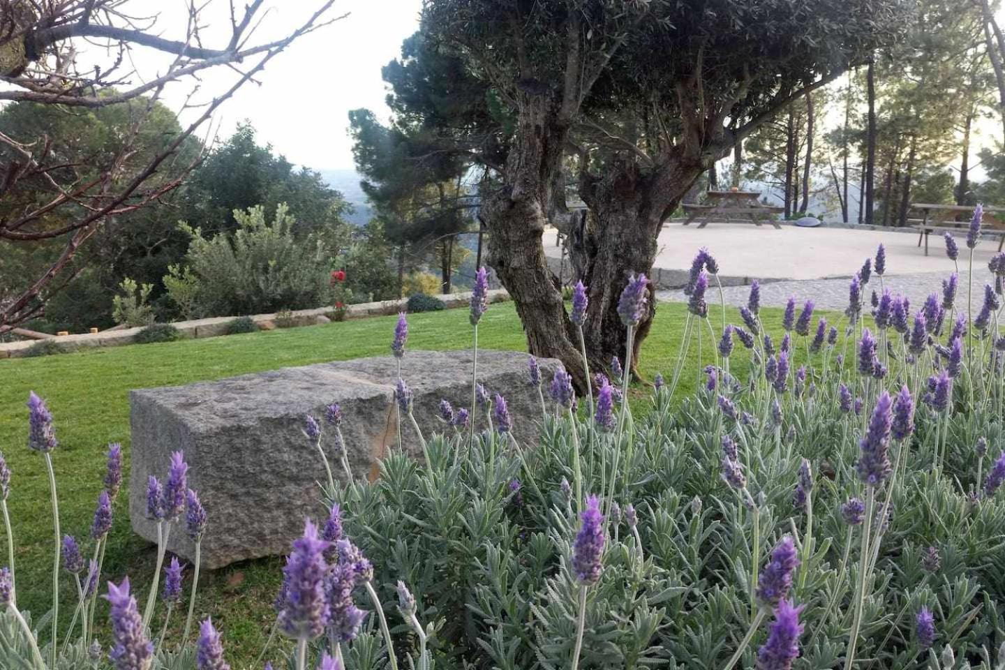 Quinta Da Idalina Villa Мончик Стая снимка